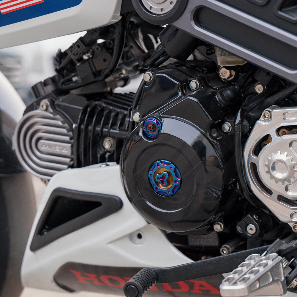 ちびかめ inside23 ちびかめセット - 陶房花咲