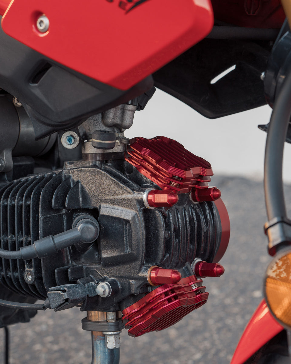 Honda grom new arrivals cam cover