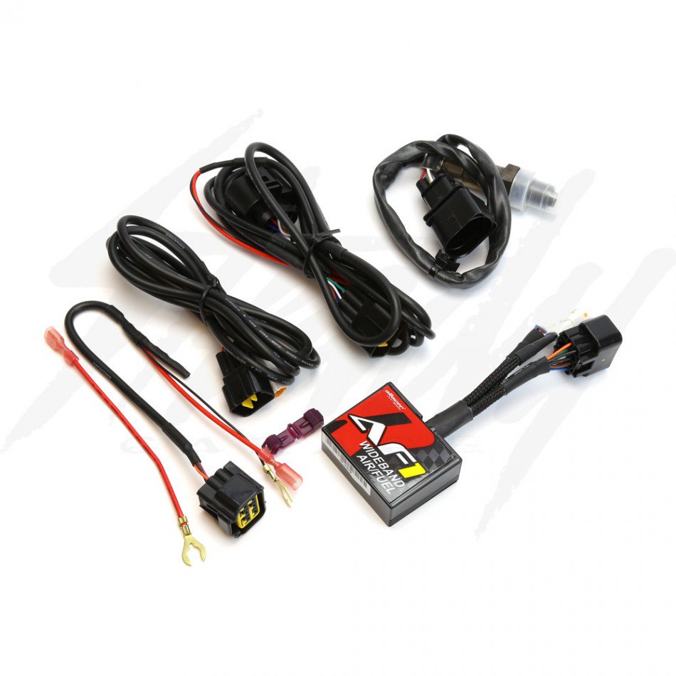 Aracer AF1 Professional Wideband O2 AFR Module – Steady Garage