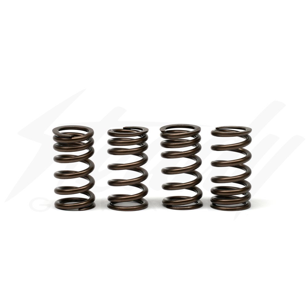 DCR Valve Spring Set for Honda CBR250R CBR300